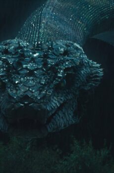 فيلم Snakes 5 2026 مترجم