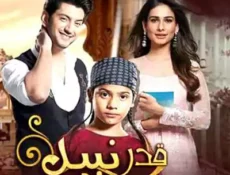 مسلسل قدر نبيل الحلقة 17 مترجمة