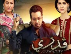 مسلسل قدري الحلقة 11 مترجمة