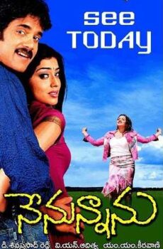 فيلم Nenunnanu 2004 مترجم