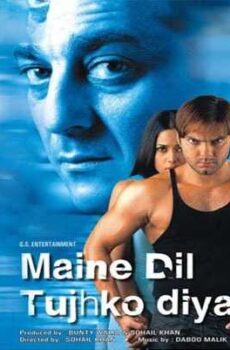 فيلم Maine Dil Tujhko Diya 2002 مترجم