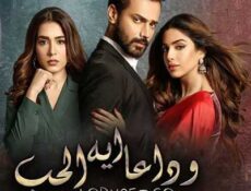 مسلسل وداعاً ايها الحب الحلقة 12 مترجمة