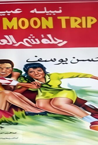 فيلم رحلة شهر العسل 1970