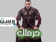 مسلسل حرملك الحلقة 30 والاخيرة