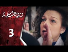 مسلسل وردة شامية الحلقة 3