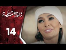 مسلسل وردة شامية الحلقة 14