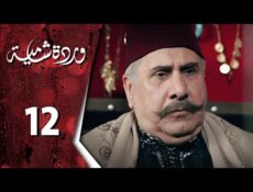 مسلسل وردة شامية الحلقة 12