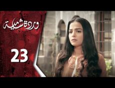 مسلسل وردة شامية الحلقة 23
