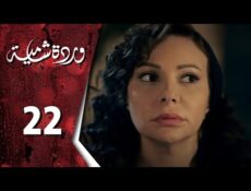 مسلسل وردة شامية الحلقة 22