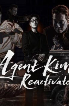 Agent Kim Reactivated