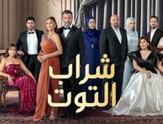 مسلسل شراب التوت الموسم 3 الحلقة 19 التاسعة عشر مدبلج