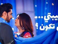 مسلسل حبيبتي من تكون الموسم 3 الحلقة 30 الثلاثون مدبلجة