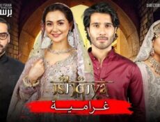 مسلسل غرامية الحلقة 19 التاسعة عشر مدبلج