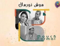 مسلسل موش نورمال الحلقة 10 العاشرة