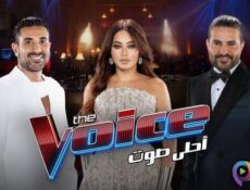 برنامج ذا فويس The Voice الموسم 6 الحلقة 15 الخامسة عشر