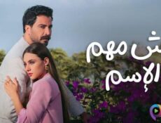 مسلسل مش مهم الاسم الحلقة 14 الرابعة عشر