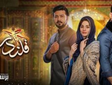 مسلسل قلندر الحلقة 34 الرابعة والثلاثون مدبلج