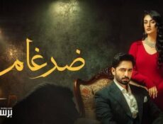 مسلسل ضرغام الحلقة 37 السابعة والثلاثون مدبلج