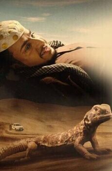 فيلم شباب البومب 2024