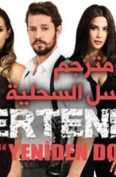 السحلية