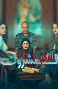 الدم المشروك