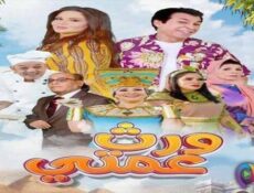 مسلسل ورث عمتي الحلقة 25 الخامسة والعشرون والاخيرة