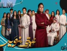 مسلسل عمتي نوير الحلقة 13 الثالثة عشر