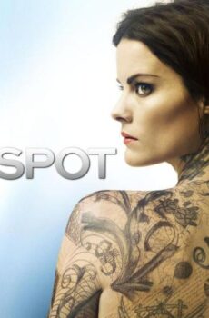 Blindspot