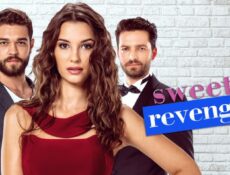 مسلسل الانتقام الحلو الحلقة 29 مترجمة