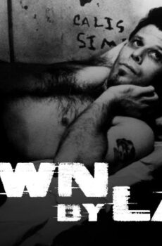 فيلم Down by Law 1986 مترجم