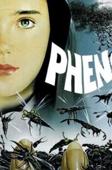 فيلم Phenomena 1985 مترجم