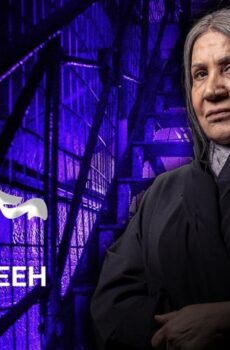 مجاريح