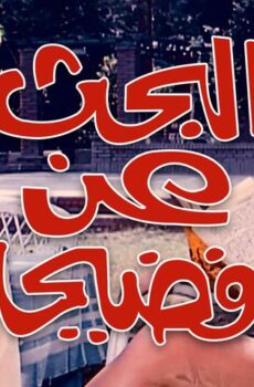 فيلم البحث عن فضيحة (1973)