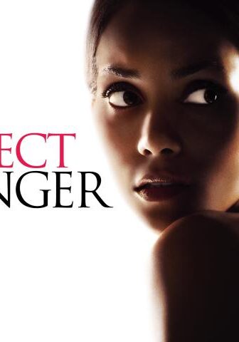 فيلم Perfect Stranger 2007 مترجم