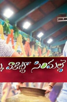 فيلم Seethamma Vaakitlo Sirimalle Chettu 2013 مترجم