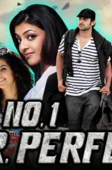فيلم Mr Perfect 2011 مترجم