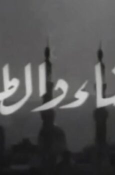 فيلم الحسناء والطلبة (1963)