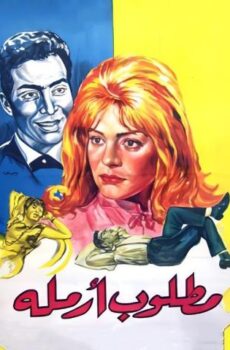 فيلم مطلوب أرملة (1965)