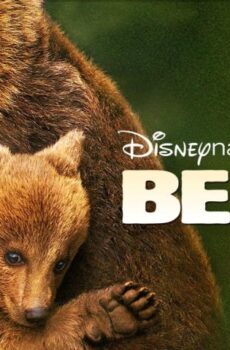 فيلم Bears 2014 مترجم