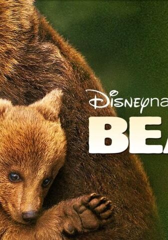 فيلم Bears 2014 مترجم