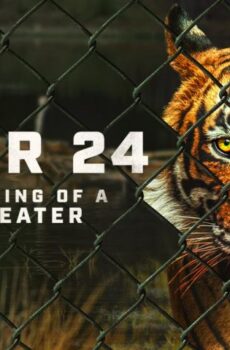 فيلم Tiger 24 2022 مترجم