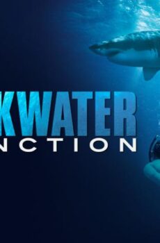 فيلم Sharkwater Extinction 2018 مترجم