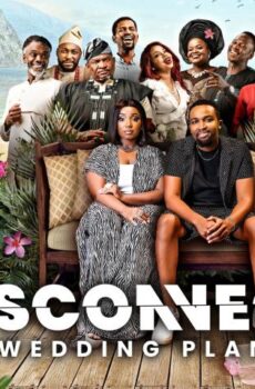 فيلم Disconnect: The Wedding Planner 2022 مترجم