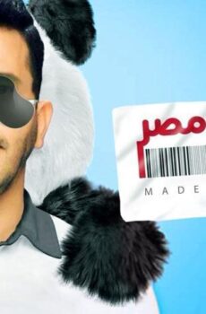 فيلم صنع في مصر (2014)