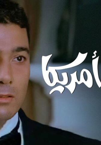 فيلم تايه في أمريكا (2002)