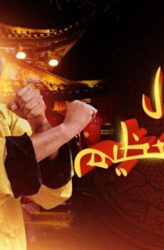 فيلم فول الصين العظيم (2004)