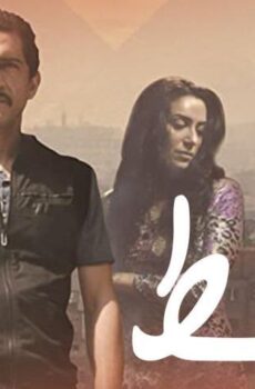 فيلم القط (2015)