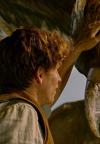 فيلم Fantastic Beasts: A Natural History 2022 مترجم
