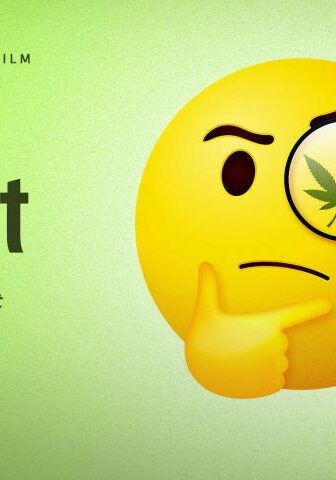 فيلم Going to Pot: The Highs and Lows of It 2021 مترجم