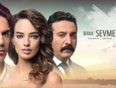 مسلسل علمني كيف أحب الحلقة 12 مترجمة